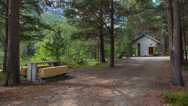 Liasanden rest area in the pine forest in Leirdalen, Lom.