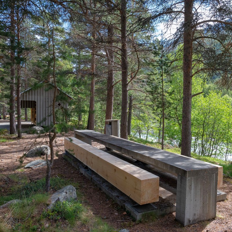 Rastebenker i skogen.